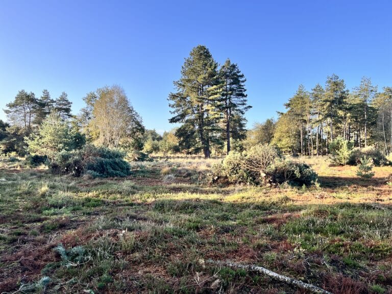 Staatsbosbeheer Jonathan leeuwis