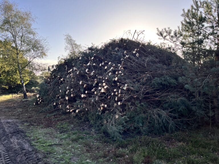 Staatsbosbeheer Jonathan leeuwis
